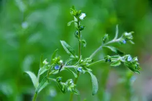 关于鉛€蝨?9盘仦歃舐2hiVfo鼊,閶